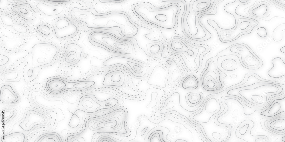 Fototapeta premium Light topographic topo contour map background, vector illustration. 