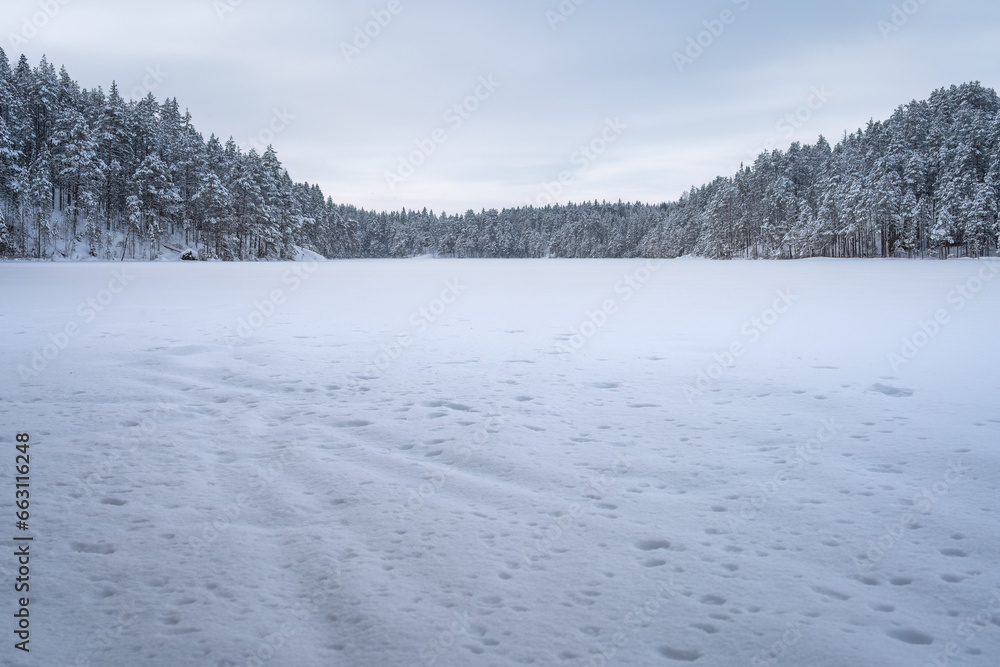 Blue calm winter landscape of a frozen lake in Repovesi National Park, Finland. Blue calm winter landscape of a frozen lake in Repovesi National Park, Finland.