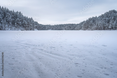 Blue calm winter landscape of a frozen lake in Repovesi National Park, Finland.