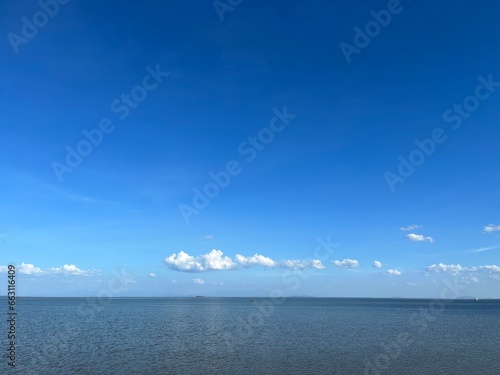 Sky and Sea wildlife nature