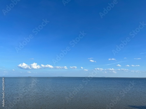 Sky and Sea wildlife nature