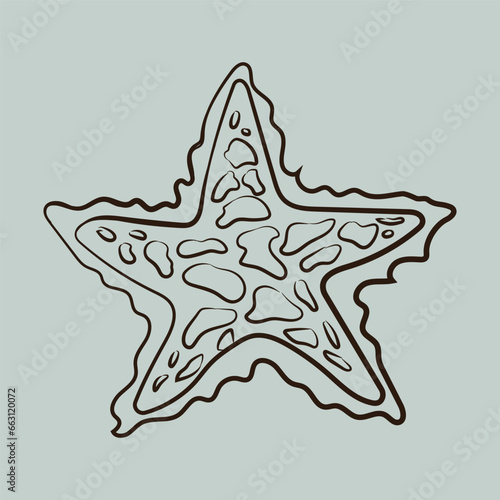 sea animals vector design, fish, crab, star fish, octopus, all kind of sea animal fish and animal design by illustrator