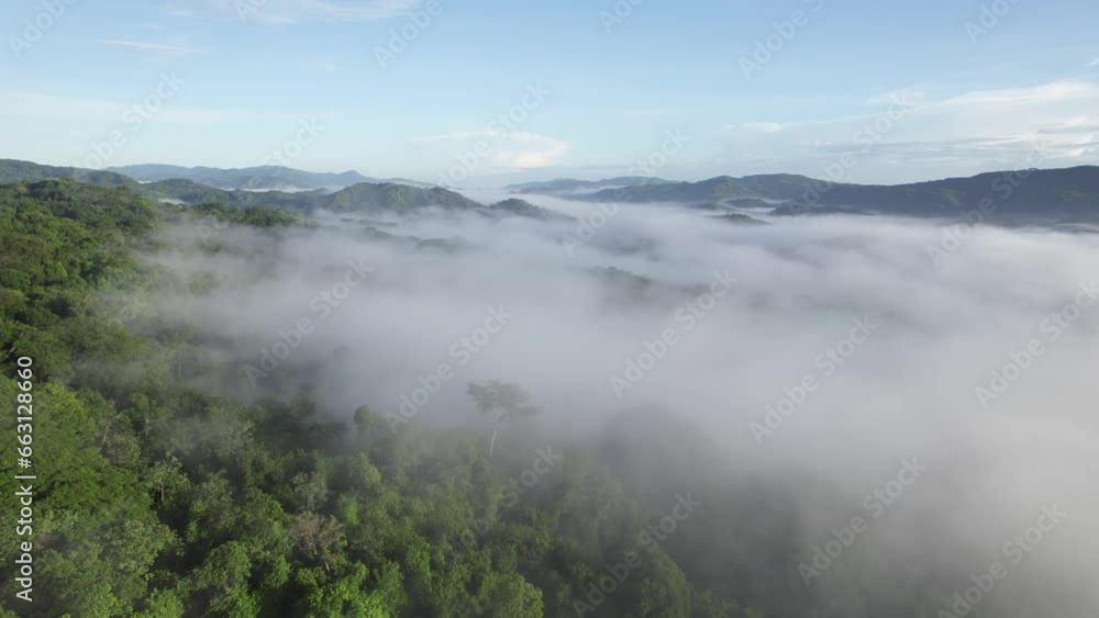 Green Forest Costa Rica Jungle With White Cloud Fog, Aerial Drone Flyover 4K Green Forest Costa Rica Jungle With White Cloud Fog, Aerial Drone Flyover 4K