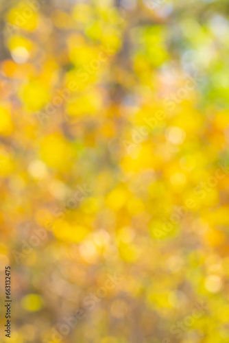 Blurred bokeh background of autumn leaves.