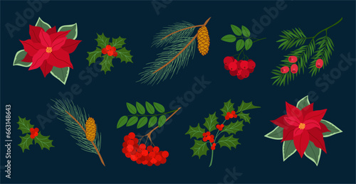 Set of christmas plants, pine branches with cones, yew, holly berry, red rowan, poinsettia, Hand drawn vector illustration isolated on black background. Modern flat cartoon style.