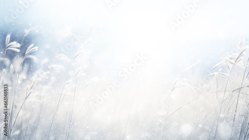 beautiful winter background, blurred snowfall in the field, dry blades of grass covered with snow and frost, nature