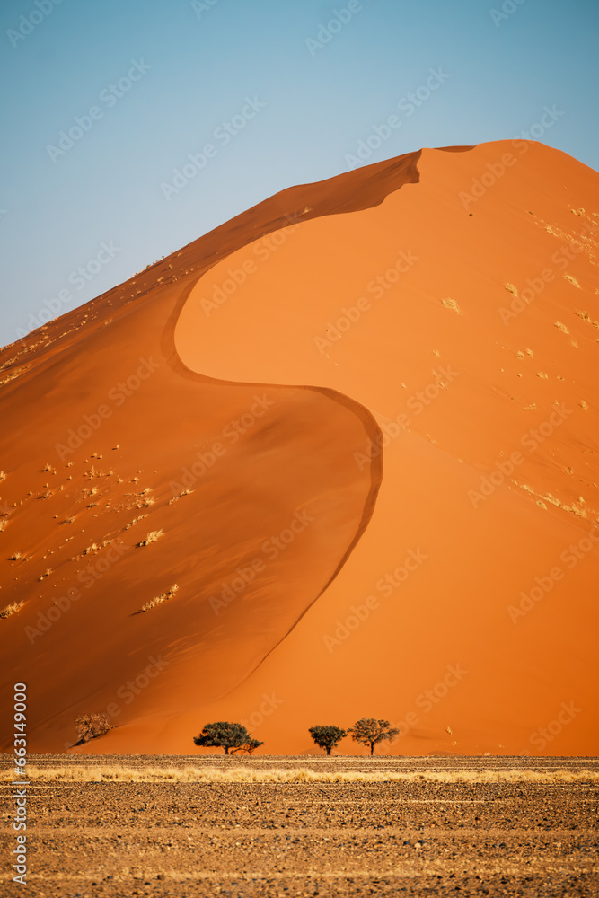 Dune 40 against clear blue sky in the Sossusvlei area, Namib-Naukluft National Park, Namibia. It is named after its distance of 40 kilometers from the Sesriem gate. - obrazy, fototapety, plakaty 