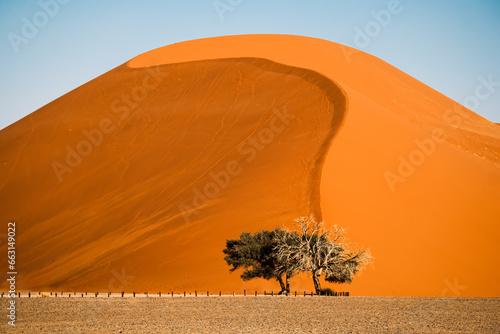 Dune 45 against clear blue sky in the Sossusvlei area, Namib-Naukluft National Park, Namibia. It is named after its distance of 45 kilometers from the Sesriem gate and stands at over 170 meters tall. photo