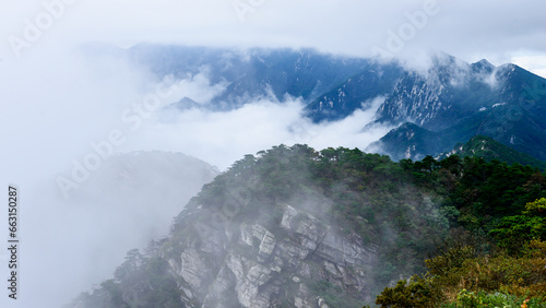 mist in the mountains