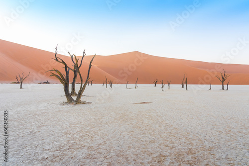 Sunrise on dead acacia trees at Deadvlei in the Namib desert in Namibia, Africa. 