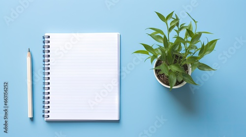 A white notebook with the text LIFE INSURANCE and a green plant, pen on a blue background. Flat lay, top view