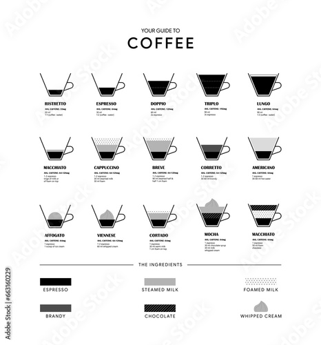 Types of coffee vector illustration. Infographic of coffee types and their preparation. Ingredients. Coffee house menu. Flat style.