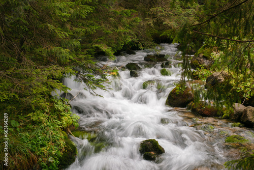 Beautiful mountain stream in a forest  in Zakopane  Poland