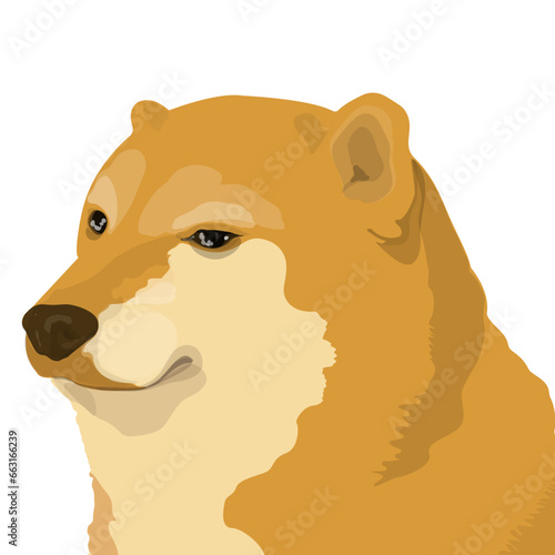 sad_shibainu