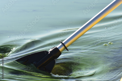 Fototapeta Naklejka Na Ścianę i Meble -  oar in water