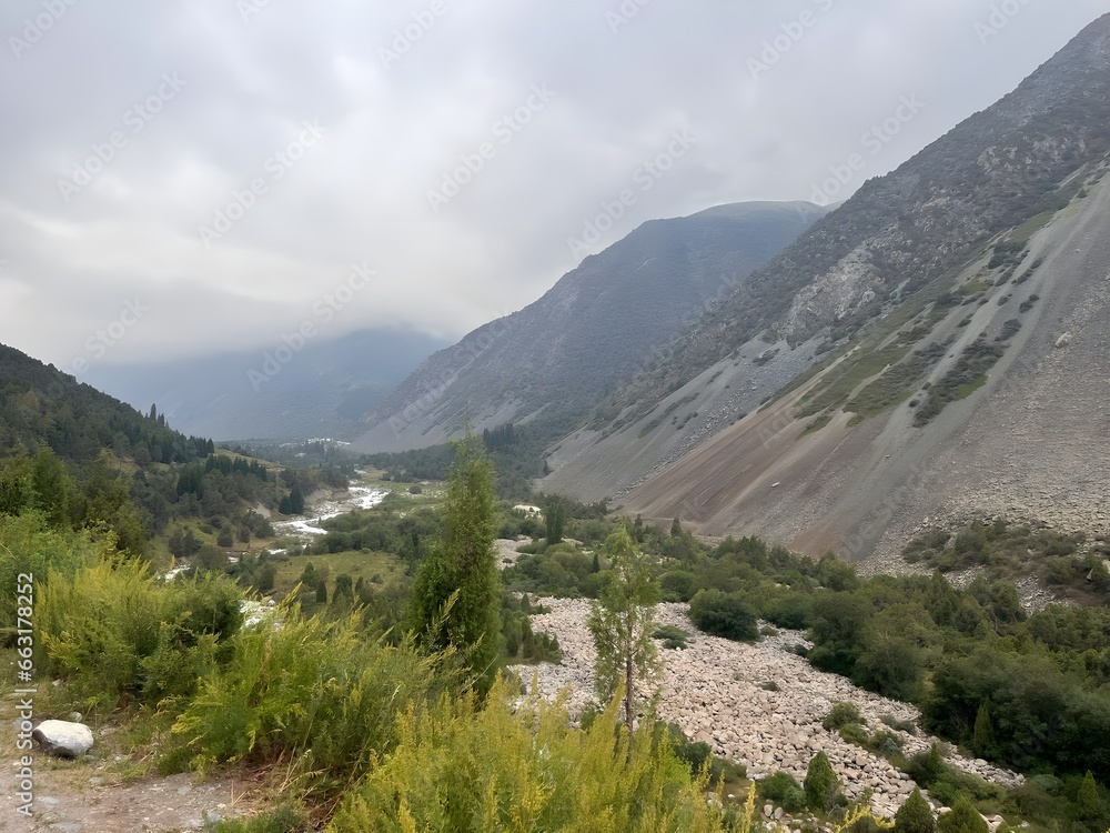 landscape in the mountains