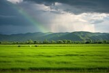 lush green meadows under a rainbow post-rain