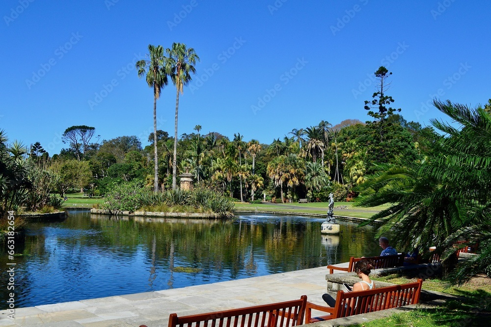 Obraz premium Scenic view of the Royal Botanic Gardens in Sydney, Australia with the lush green vegetation