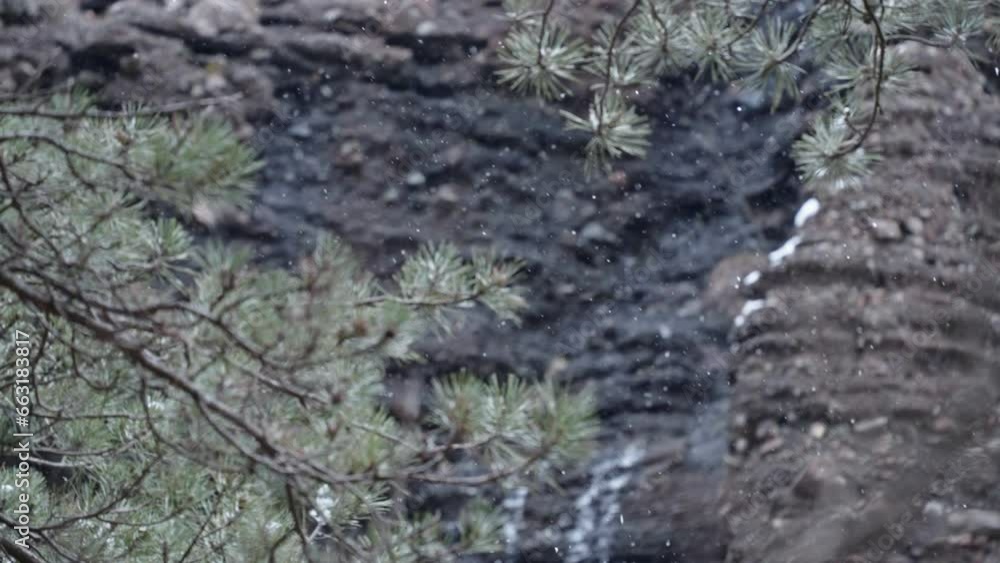 Snowflakes falls in slow motion in mountains, view from under fir tree Snowflakes falls in slow motion in mountains, view from under fir tree