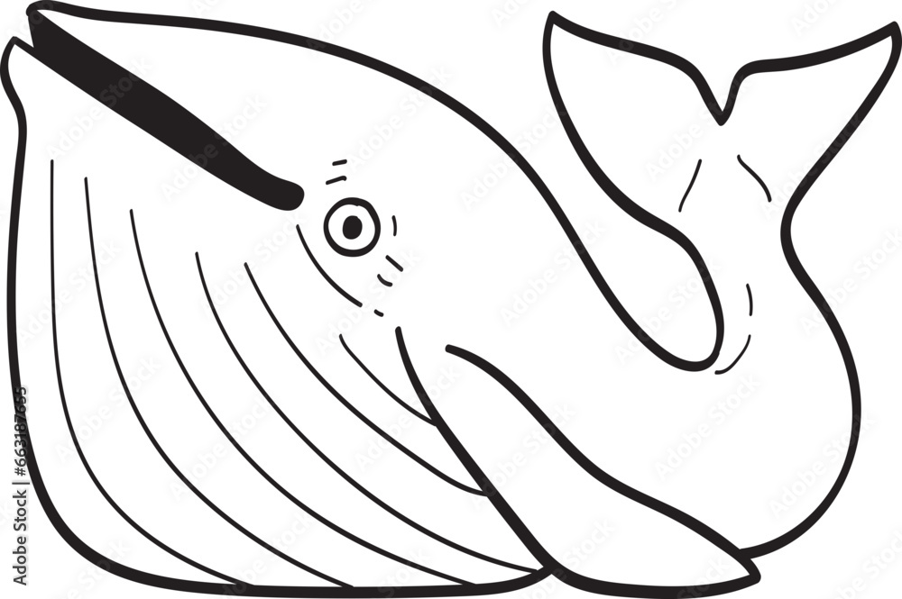 Obraz premium whale illustration