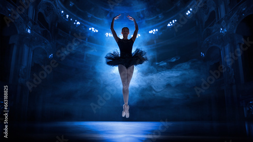 Foto Gracefulness