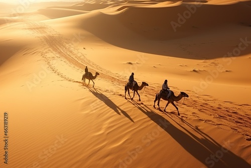 People on camels move through the desert. Beautiful desert landscape, top view