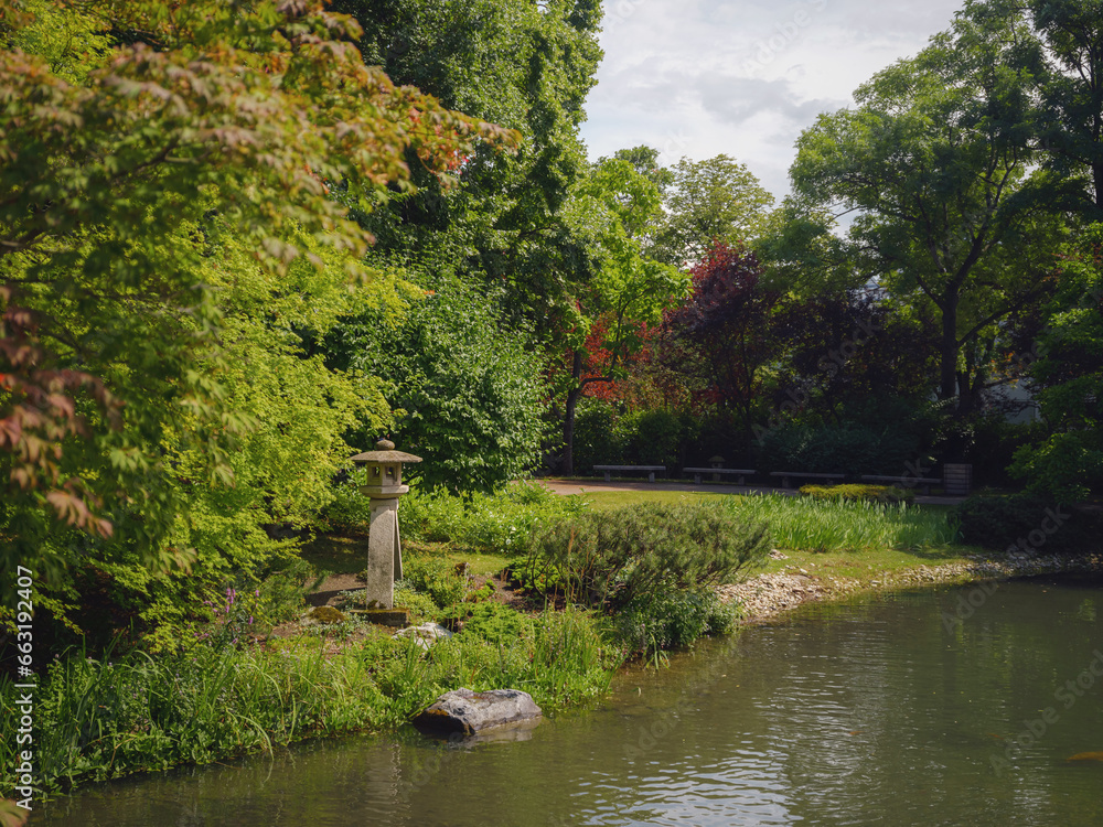 Fototapeta premium Japanese park in Vienna on a summer day. Zetagaya Park is small, quiet Japanese garden with cherry trees and fish pond, open to public from April to October.