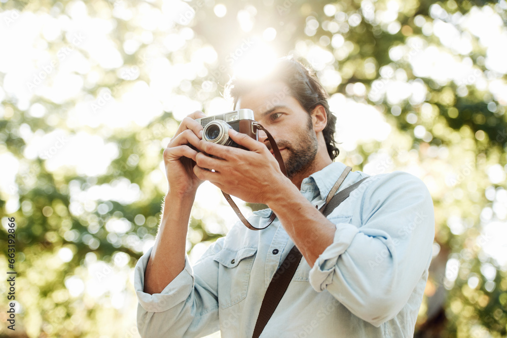 Picture, photographer or man in park on holiday vacation trip for creativity, shooting or tourism memory. Photography, travel or male tourist with camera for sightseeing or trees in nature in summer Picture, photographer or man in park on holiday vacation trip for creativity, shooting or tourism memory. Photography, travel or male tourist with camera for sightseeing or trees in nature in summer