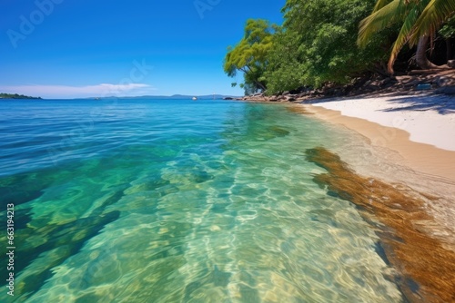 a picturesque tropical beach with crystal clear water