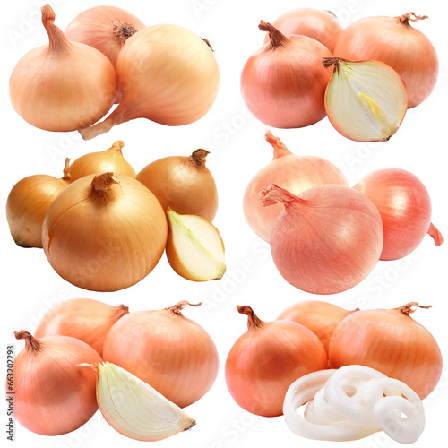 Set onion isolated