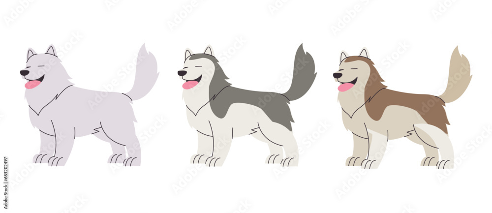Alaskan malamute furry dog vector drawing illustration character standing happy canine pedigree