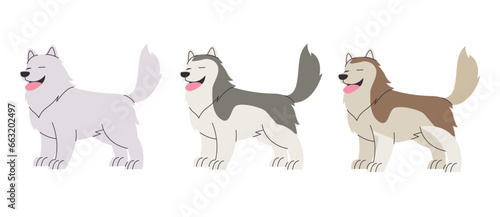 Alaskan malamute furry dog vector drawing illustration character standing happy canine pedigree