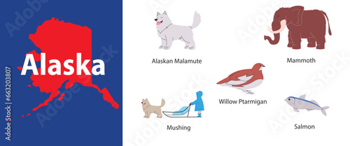 Alaska united states country map and unique animals willow ptarmigan malamute salmon and mammoth