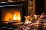 a cat napping beside an open fireplace
