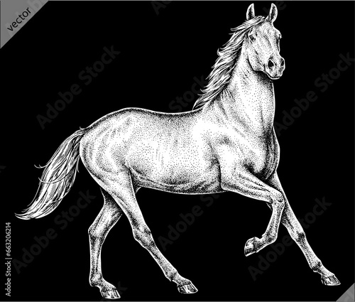 Vintage engraving isolated horse set illustration ink sketch. Wild equine background nag mustang animal silhouette art. Black and white hand drawn vector image