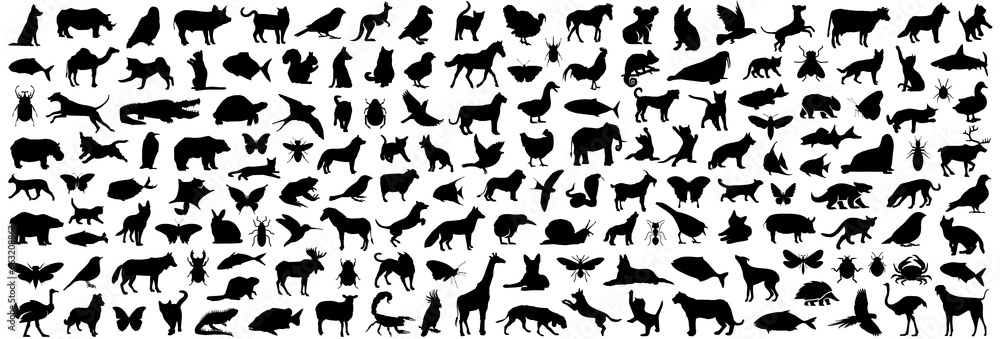 Animal silhouette collection. Set of black animal silhouette. Animal icons. Mammal, fish, insects, birds, reptiles silhouette collection. Wild, domestic animals icons - obrazy, fototapety, plakaty 