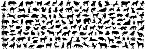 Obraz na płótnie Animal silhouette collection