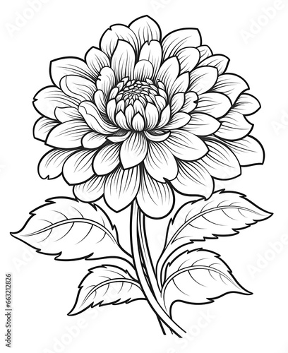 Coloring book  floral background  flowers on a white background.