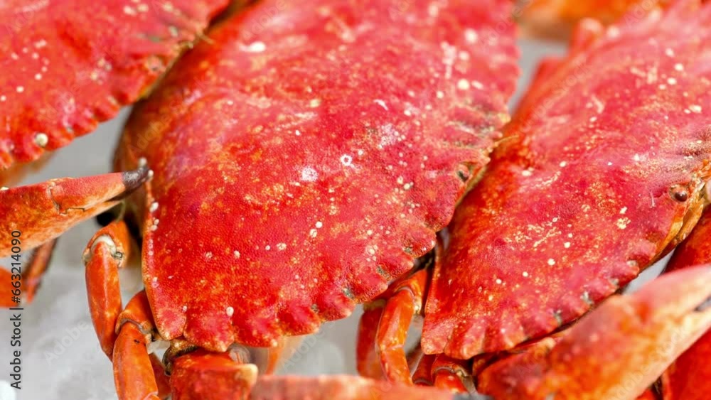 4K Video of Cooked Crab on Bed of Ice Shot from Motorized Slider 4K Video of Cooked Crab on Bed of Ice Shot from Motorized Slider