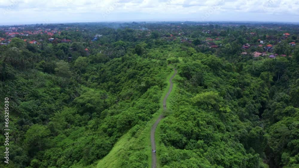 Amazing Greenery And Tropical Forest At The Campuhan Ridge Walk In Ubud, Bali Indonesia. Aerial Drone Shot Amazing Greenery And Tropical Forest At The Campuhan Ridge Walk In Ubud, Bali Indonesia. Aerial Drone Shot