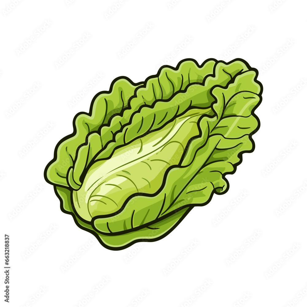 Fototapeta premium Lettuce hand-drawn illustration. Lettuce. Vector doodle style cartoon illustration. AI generative