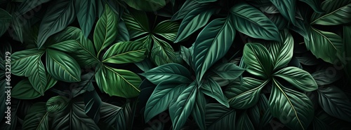 Green and Gold Leaves - Wide Format