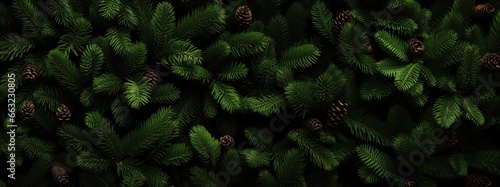 Texture background in the form of branches from Christmas trees. New Year's mood concept.