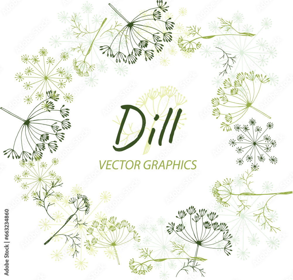 Round frame made of dill sprigs. Wreath for health and decorations from different parts of dill