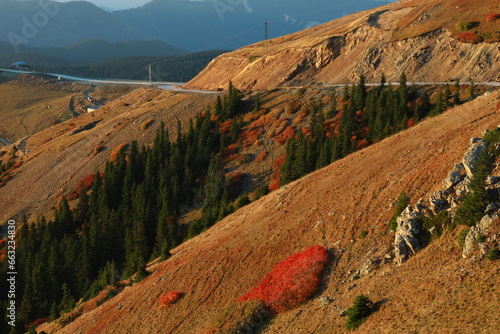 Autumn colors in the mountains
Autumn and flock of sheep in the mountains