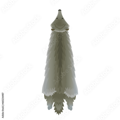 The wolf skin hangs. Vector cartoon illustration