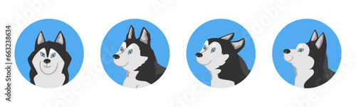 Set of round avatars with cute funny husky dogs flat style, vector illustration