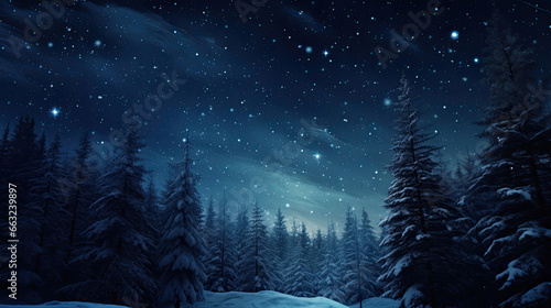Snowy landscape constellations in the night sky