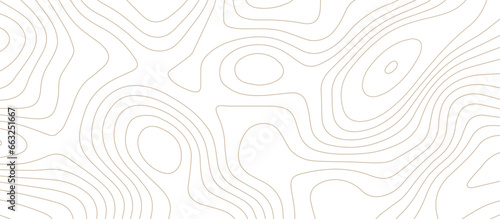 abstract White wave paper curved reliefs background .Panorama view gradient multicolor wave curve lines banner background design. Vector illustration. wave Line topography map contour background.