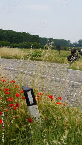 A guide post and a bicycle with a flat tire next to the road between Lomello and Montariolo in Italy, in the month of May photo